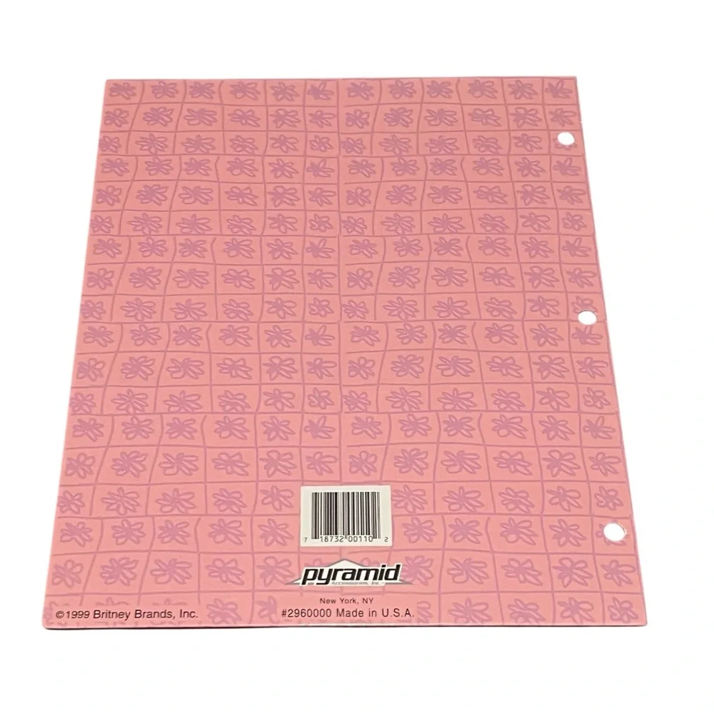 Pink Britney folder Cover